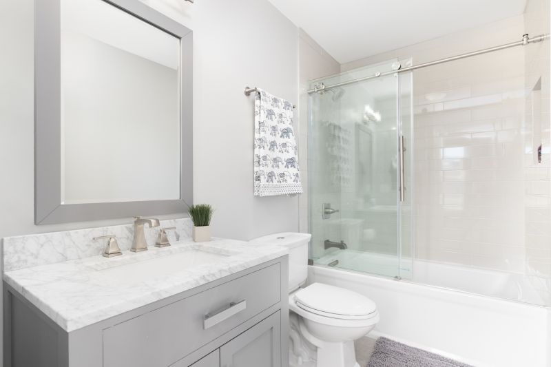 Bathroom Conversion Service in Lee County, FL